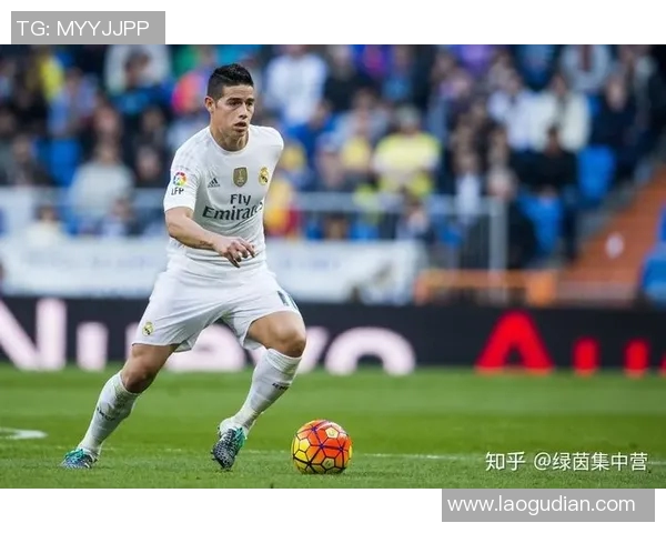 昔日王者世界杯预选赛状态下滑背后原因解析与未来发展路径探索 昔日王者世界杯预选赛状态下滑背后原因解析与未来发展路径探索